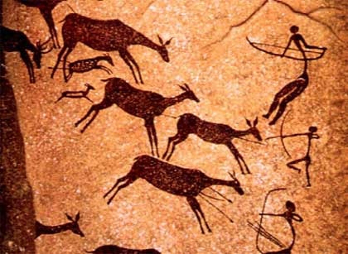 <p>mostly in caves, scattered, animals are three-dimensional, humans are stick-figures, handprints are present, a lot, attempt at a signature</p>