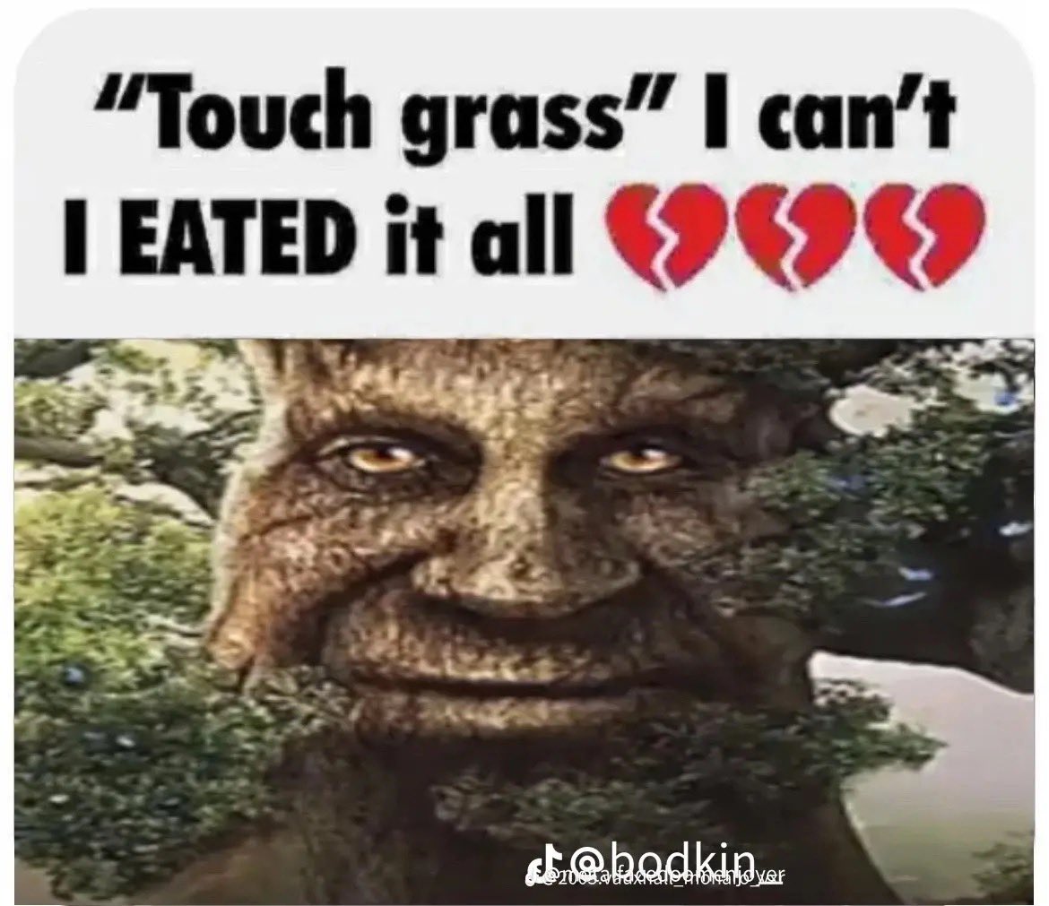 <p>A green plant that makes its own food is called a<strong>_</strong>.</p>