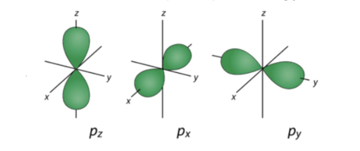 <ul><li><p>energy levels 2 and above</p></li><li><p>3 p orbitals: p<sub>z </sub>p<sub>x </sub>p<sub>y</sub></p></li></ul>