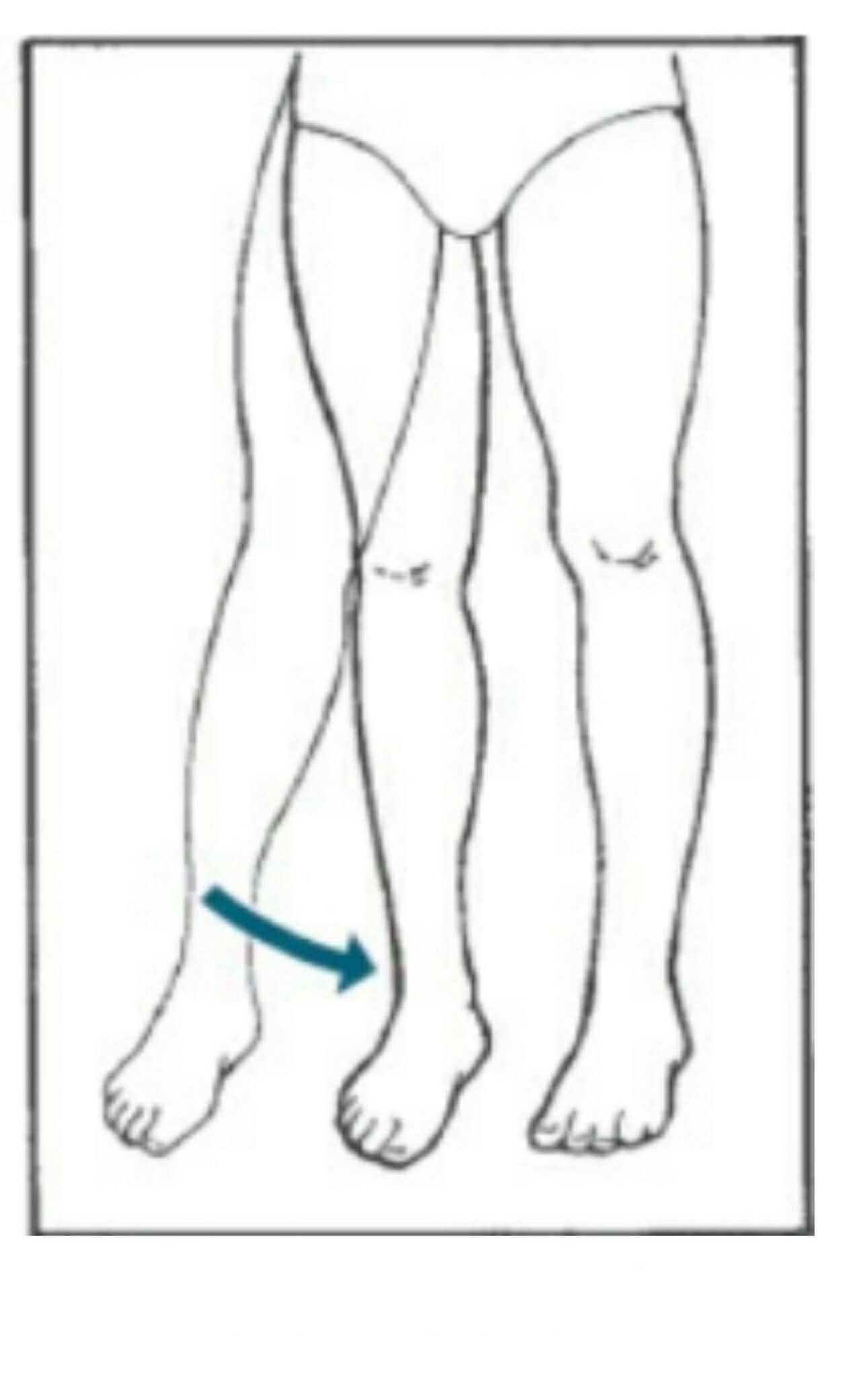 <p>What movement is this? It brings back.</p>
