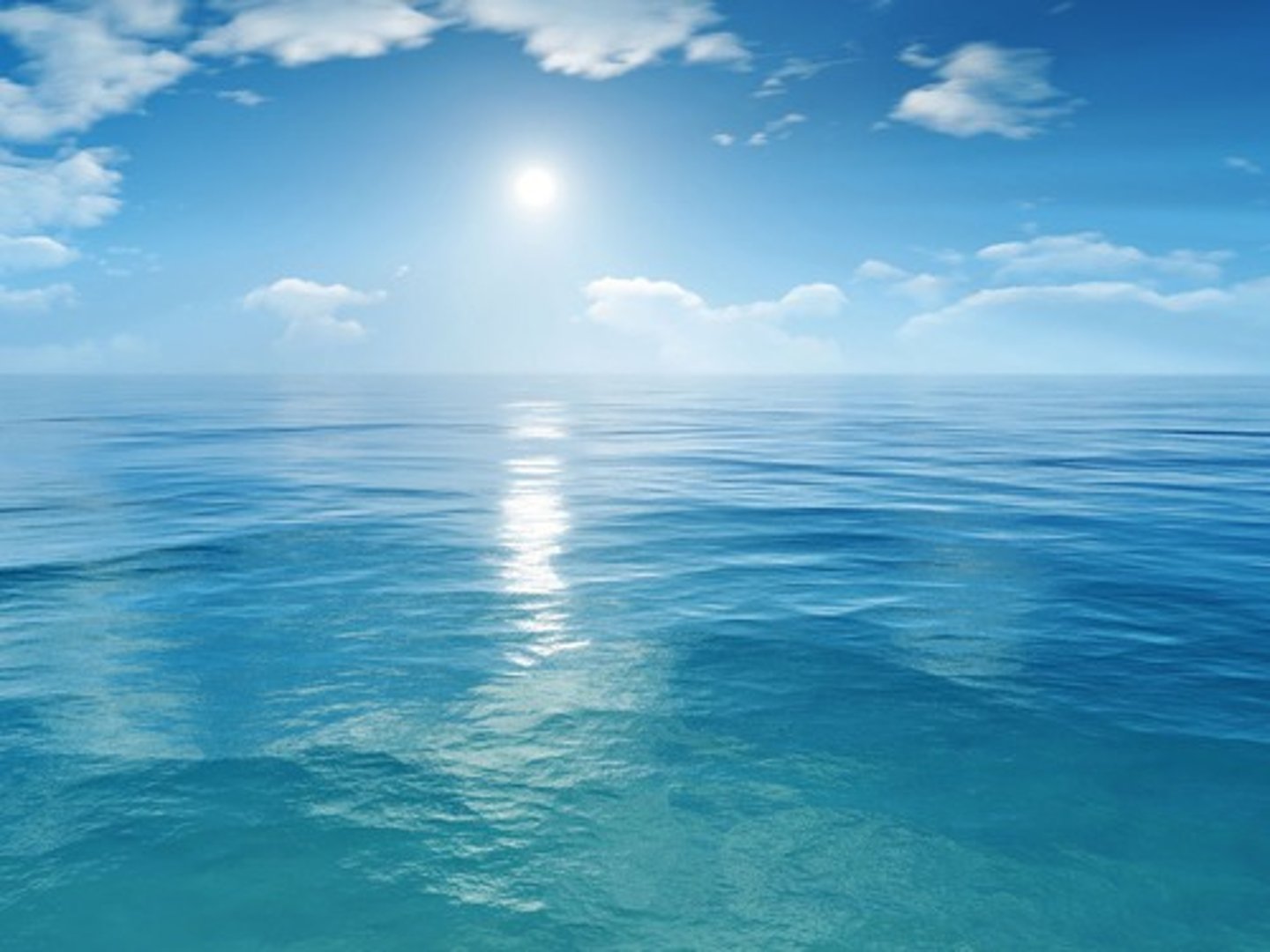 <p>el mar</p>