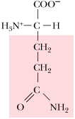 <p>What is the 1 letter abbreviation for Glutamine</p>