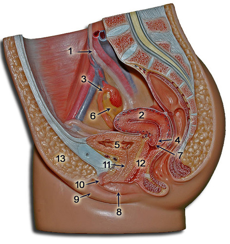 <p>1</p>