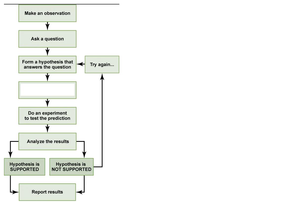 <p>What step is this in the scientific method?</p>
