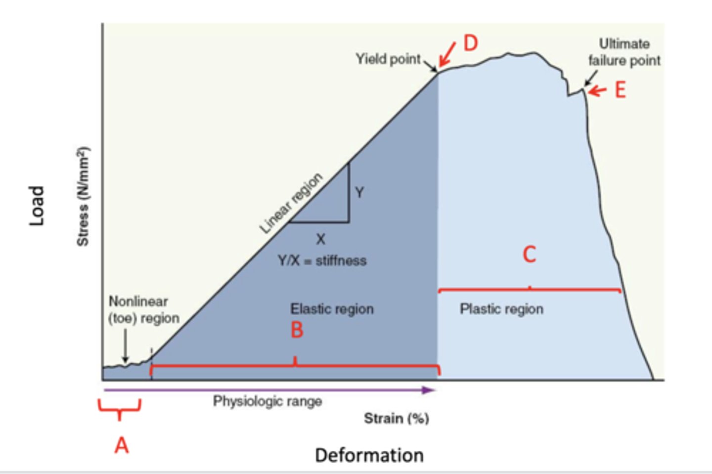 <p>Point D—initial point of failure, yield point</p>