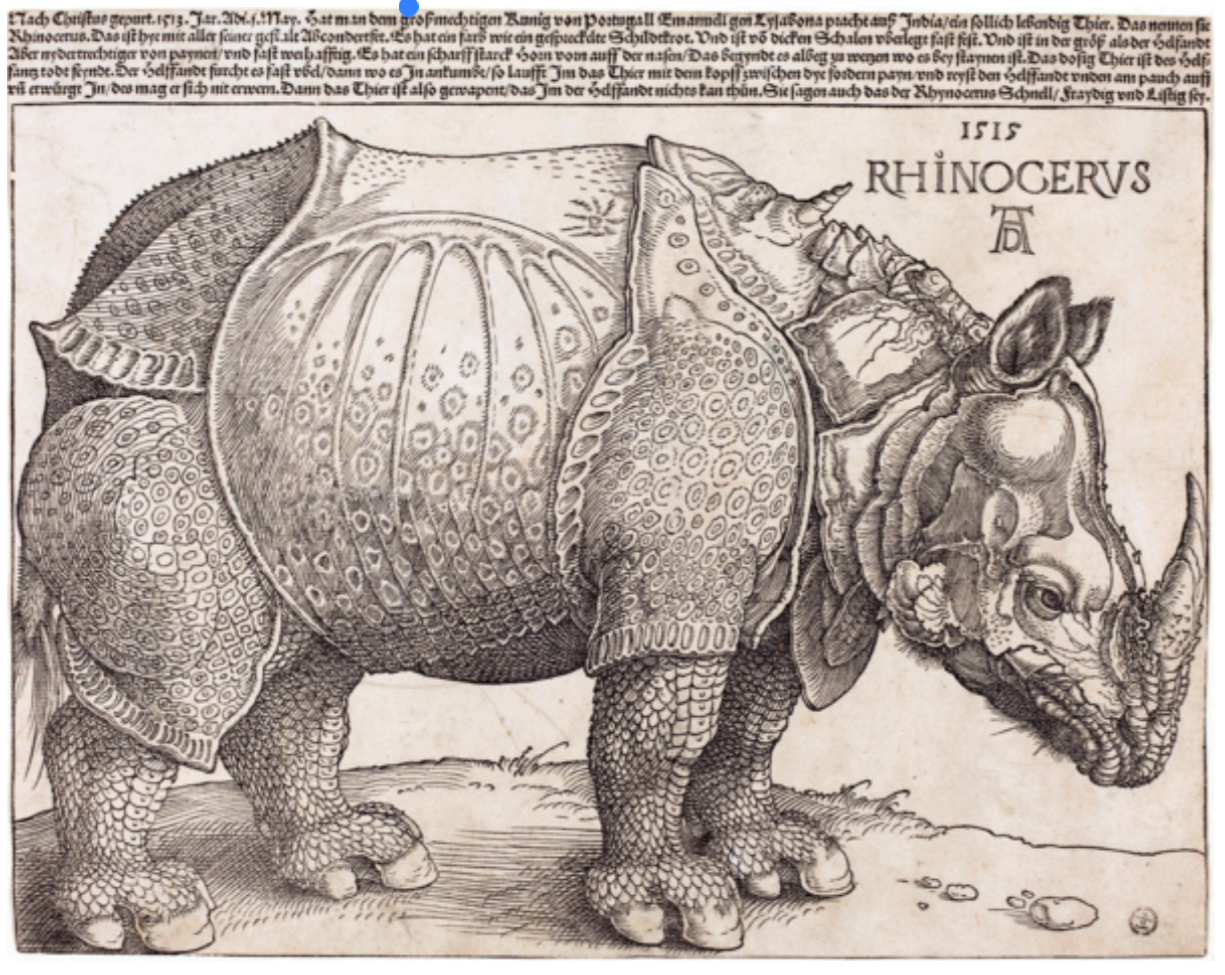 <p>Albrecht Durer, Rhinocerus</p>