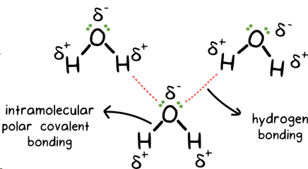 <p>strongest IMF, type of dipole - dipole attraction, form when hydrogen bonds to oxygen, nitrogen, or fluorine, strength due to hydrogen small size and large electronegativity of N, O, and Fj</p>