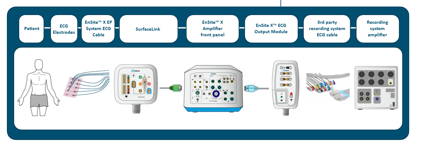 <p>Patient → ECG electrodes → EnSite X EP System ECG Cable → SurfaceLink module → SurfaceLink Port on front panel of Ensite X Amplifier → Light Blue Bank on back panel of Ensite X Amplifier → Ensite X ECG Output Module → 3rd Party recording system ECG cable → Recording system amplifier</p>