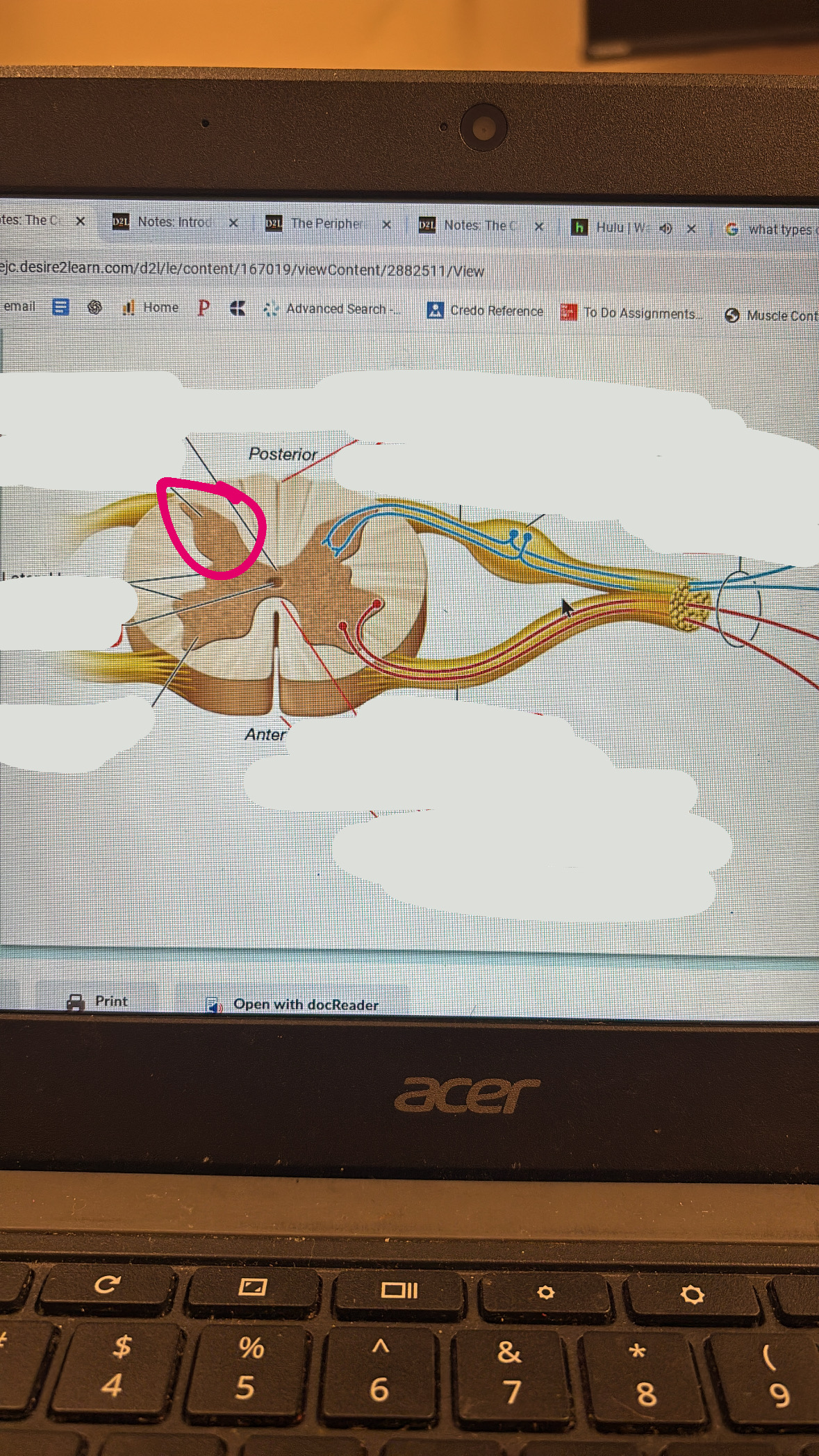 knowt flashcard image