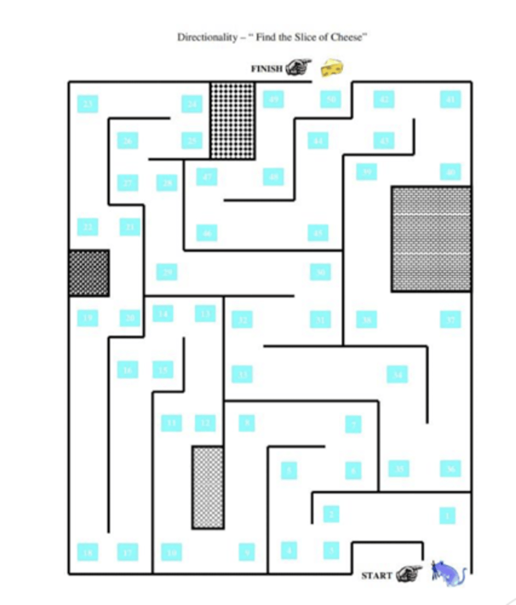 <p>need to walk the mouse in the maze</p>