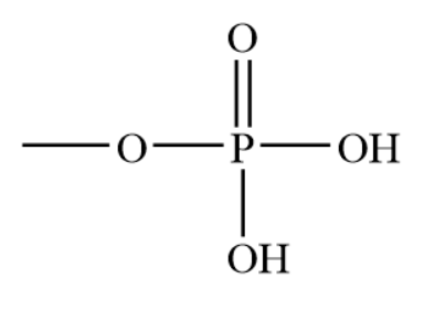 <p>Acts as a buffer, can give/receive H+ so it constantly transitions, stores and releases energy </p>