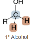 <p>Primary alcohol</p>