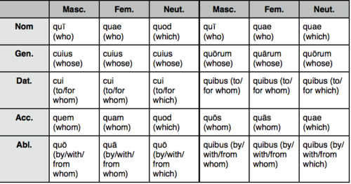 knowt flashcard image