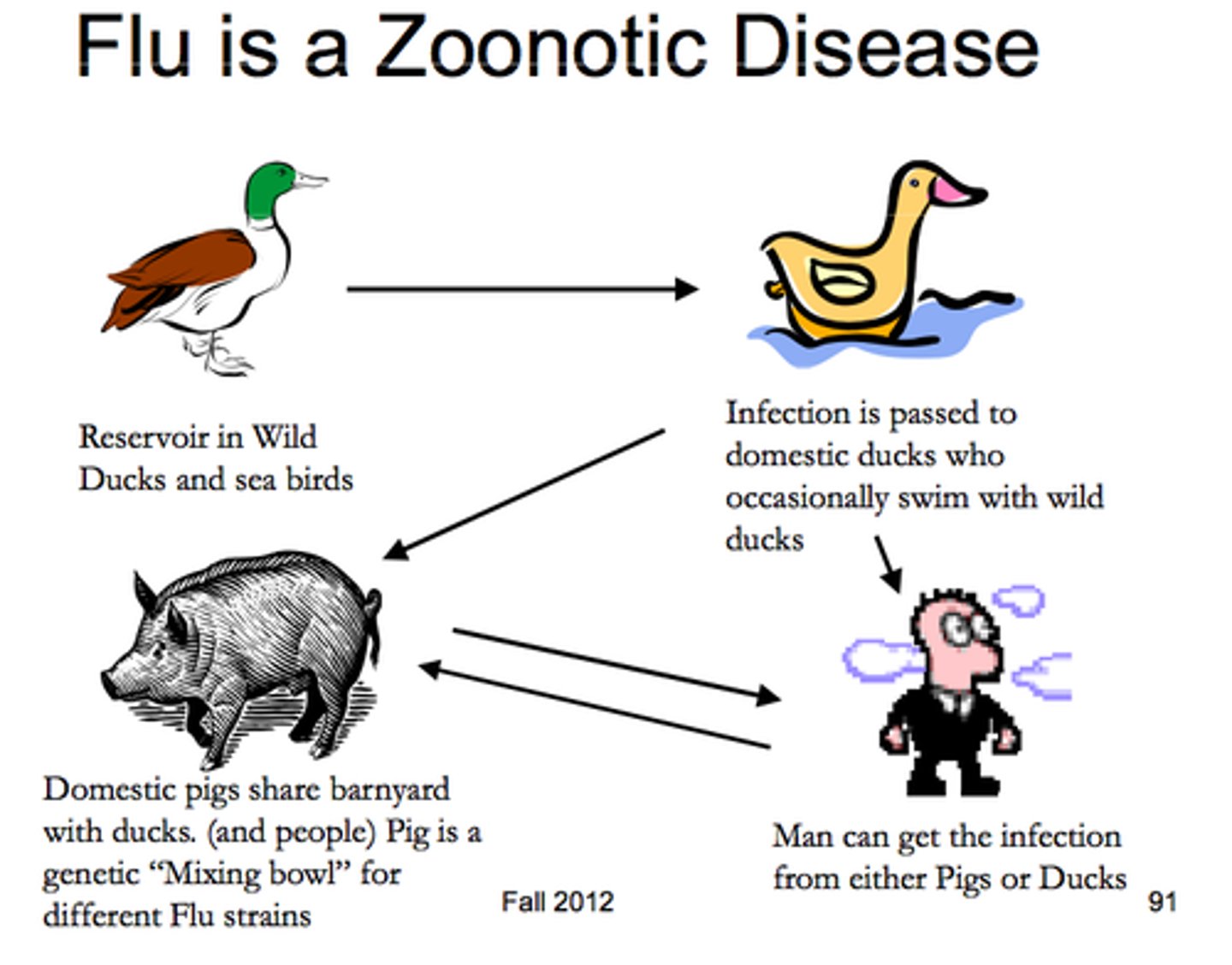 <p>diseases that do not normally use humans as hosts, and are therefore often quite virulent to humans</p>