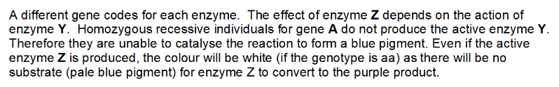 <p>why is this epistasis?</p>