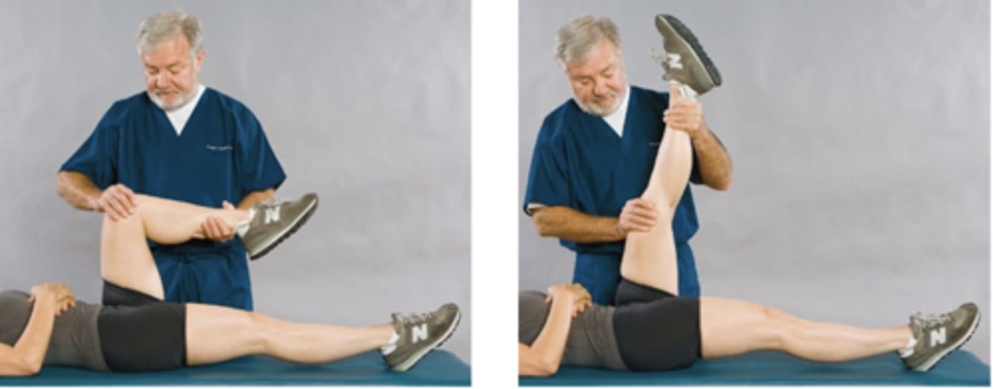 <p>Assessment for:</p><p>- Sciatica from lumbosacral or SI Lesions</p><p>- IVD</p><p>- Spondylolisthesis</p><p>- Dural sleeve adhesions</p><p>- IVF encroachment</p>