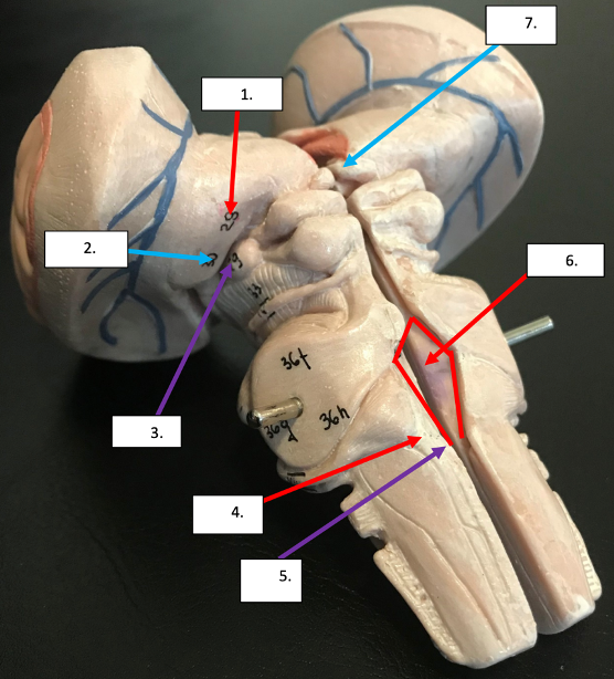 <p>1</p>
