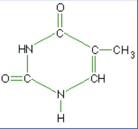 <p>What macromolecule is this?</p>