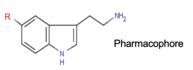 <p>Triptans : agoniste sérotoninergique 5HT1</p>