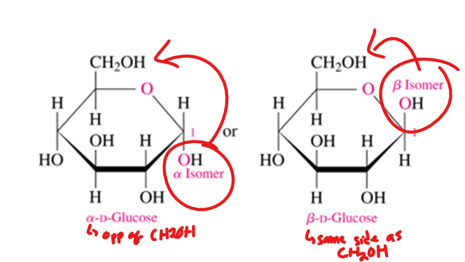 <p>alpha when it is on the opposite side (trans) of the ring as the CH2OH </p><p>beta when it is on the same side (cis) of the ring as the CH2OH</p>