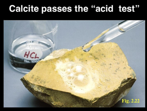 <p><span>Putting acid on the mineral to see if there is a reaction (<strong>effervescing</strong>).</span></p>