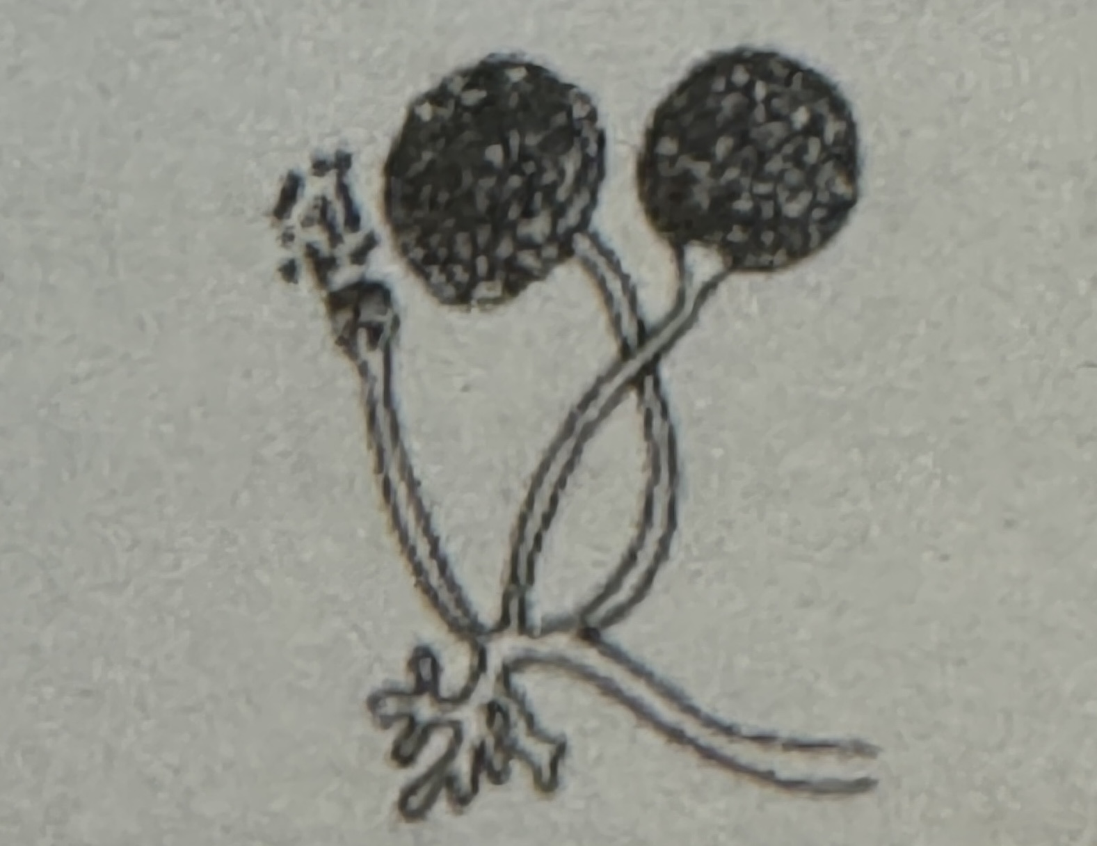 <p><span>what is illustrated</span></p>