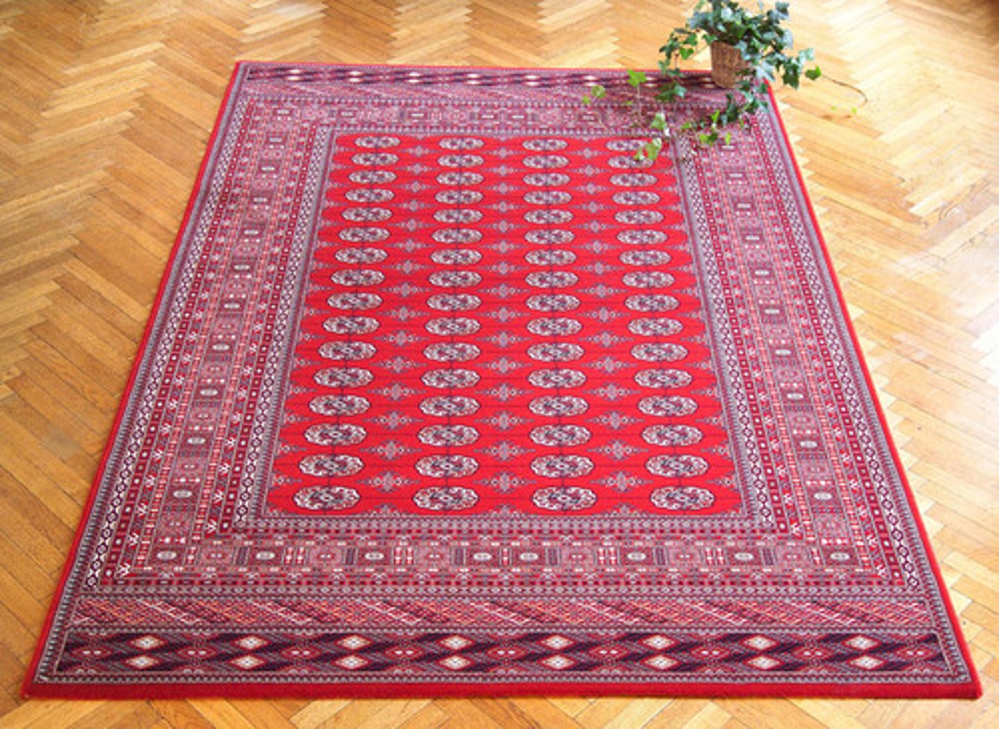 <p>a rug</p>