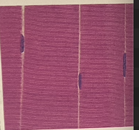 <p>identify the tissue</p>