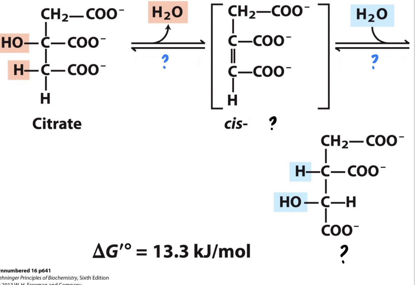 <ul><li><p>Citrate is converted to its isomer, isocitrate, by removal of one water molecule and addition of another. This reaction does not happen immediately however, as it is converted to cis-<mark data-color="blue">_________</mark> first.</p></li></ul>