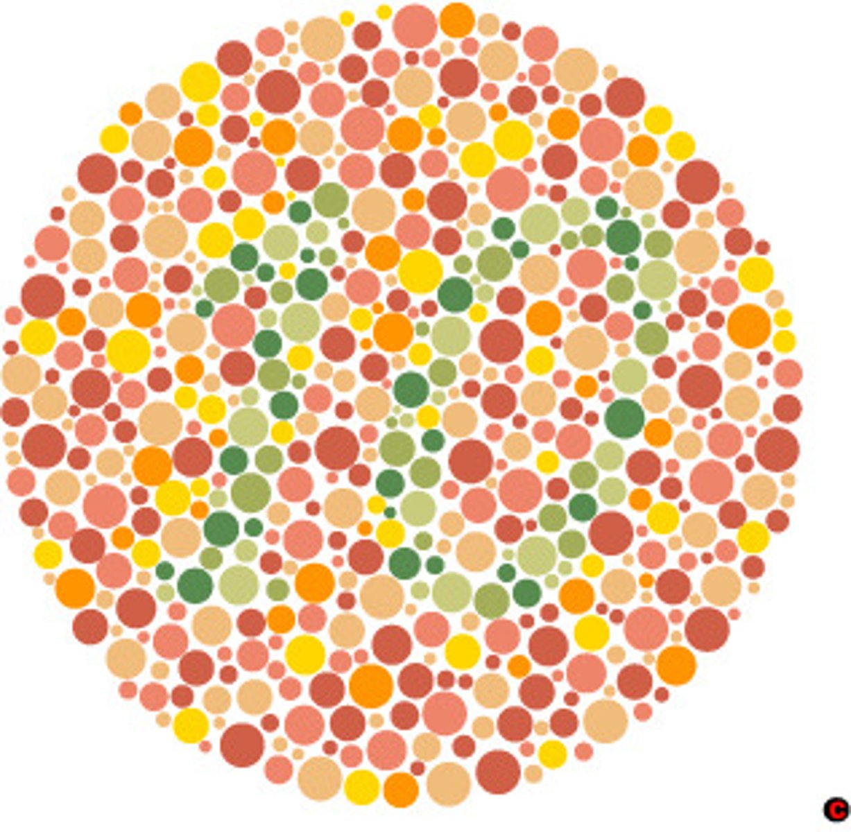 <p>An abnormal genetic condition that is characterised by the inability to clearly distinguish different colours of the visible light spectrum, as a result of deformed or altered cone cells</p>
