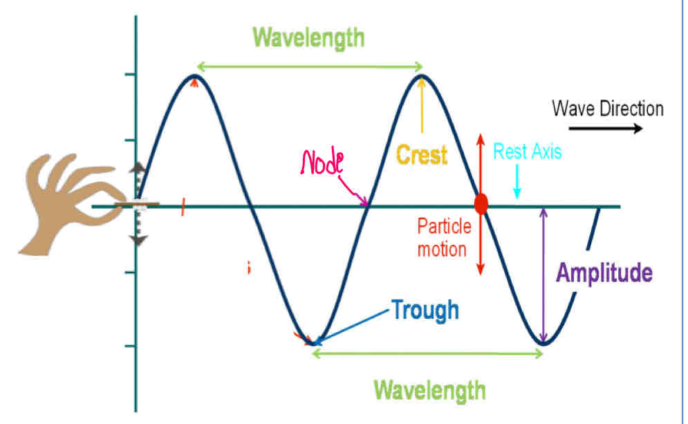 <p>How are transverse waves created?</p>