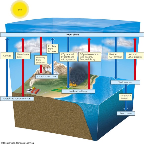 Simplified Model of Some Major Processes That Interact to Determine Climate