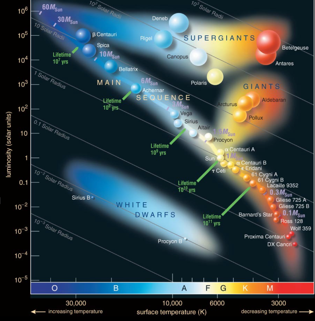 * white dwarfs cause theyre the oldest
  * white dwarf is end stage of evolution for low mass stars
* the stars w/ the biggest radii are at the top of the diagram
* radii increases from the bottom left to the top left