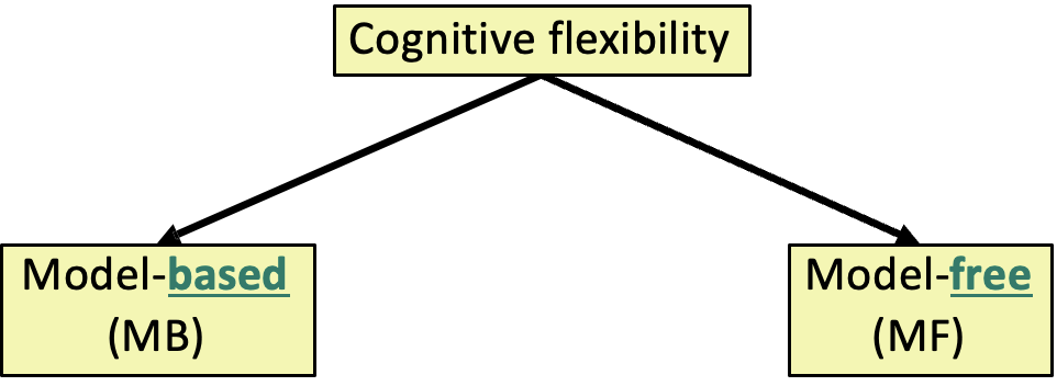 <p>cognitive flexibility is theorised to be both </p>