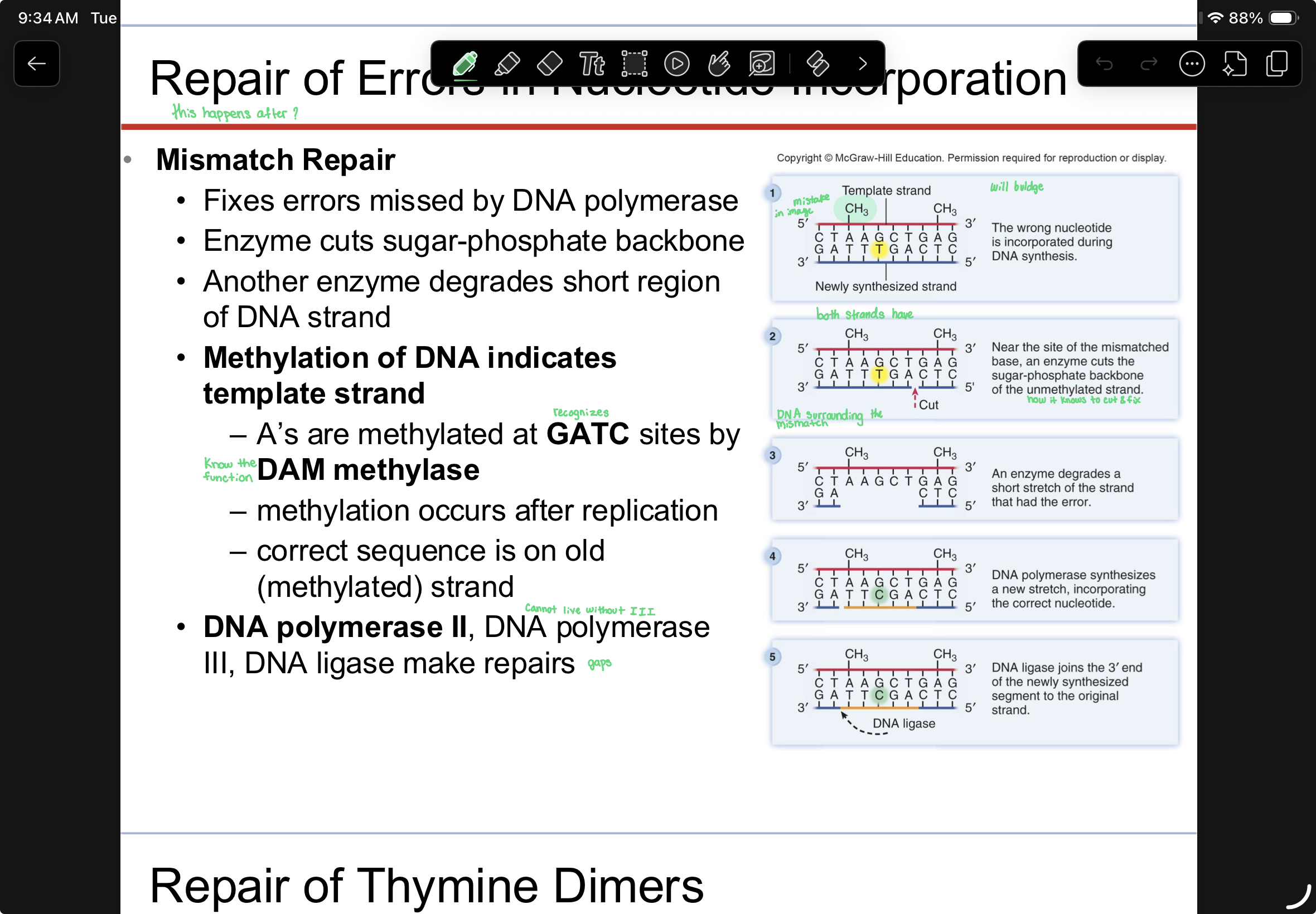 knowt flashcard image
