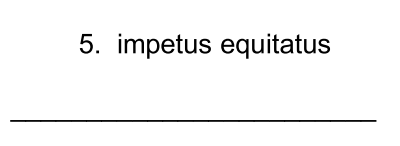 term image