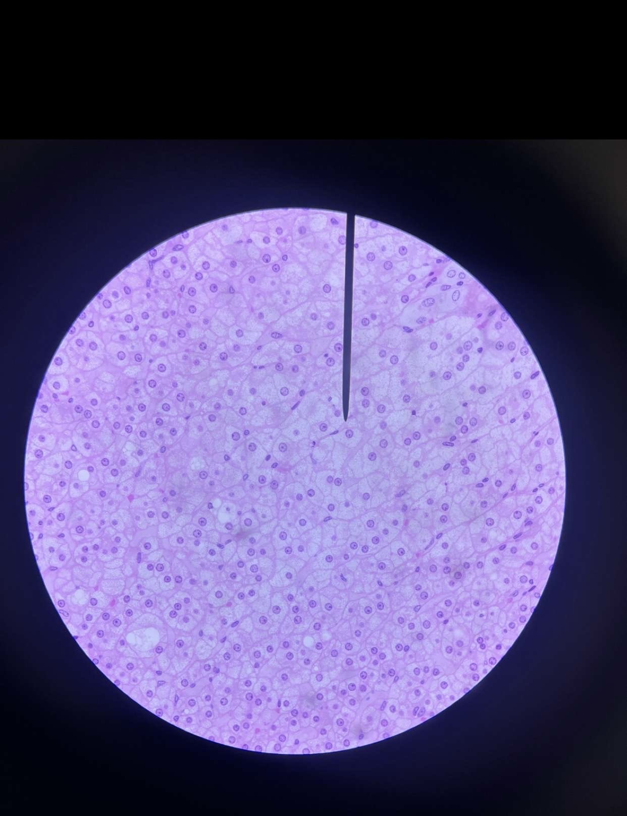 <p>What is this?</p>