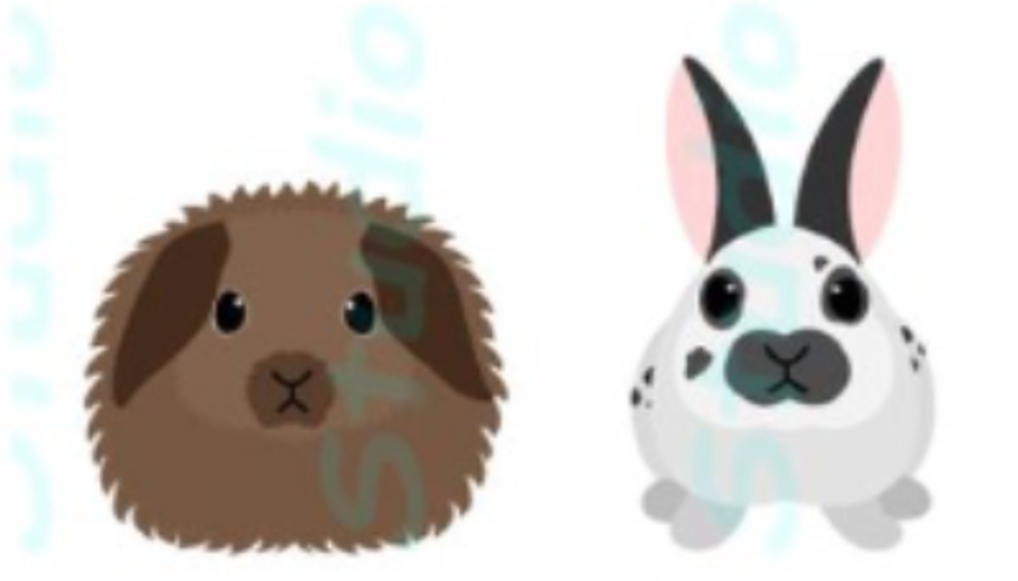 <p>What does it mean if a rabbit is a "lop"? Why might this matter?</p>