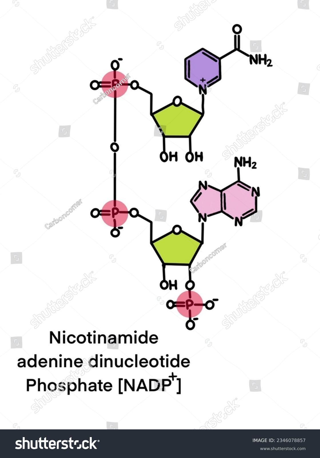 <p>redukcijos reagentas, anti-oksidacinės reakcijos</p>