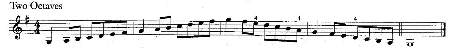 <p>1 sharp- F#</p><p></p><p>Arpeggio notes:</p><p>G, B, D, G, B, D, G, D, B, G, D, B, G</p>