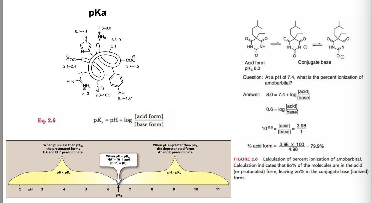 <ul><li><p>pK<sub>a</sub> = pH + log [acid]/[base]</p></li><li><p>pH &lt; pK<sub>a</sub></p><ul><li><p>protonated forms HA and BH+ pre-dominante</p></li></ul></li><li><p>pH = pK<sub>a</sub></p><ul><li><p>[HA] = [A-] and [BH+] = [B]</p></li></ul></li><li><p>pH &gt; pK<sub>a</sub></p><ul><li><p>deprotonated forms [A-] and [B] predominate</p></li></ul></li><li><p>conjugate base = deprotonated form of acid</p></li></ul><p></p>