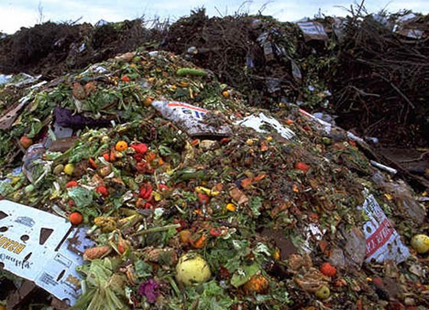 <p>to waste</p>