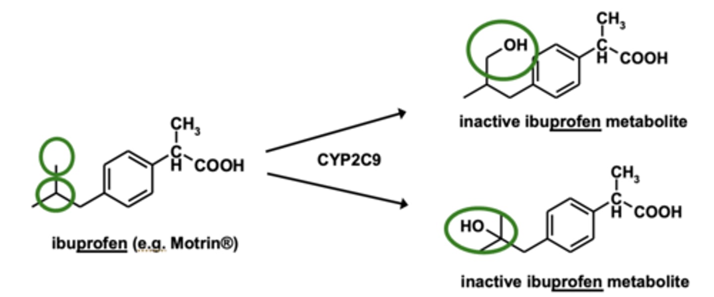 <p>the addition of <strong>-OH group </strong>to carbon chain</p>