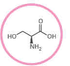 <p>What amino acid is this?</p>