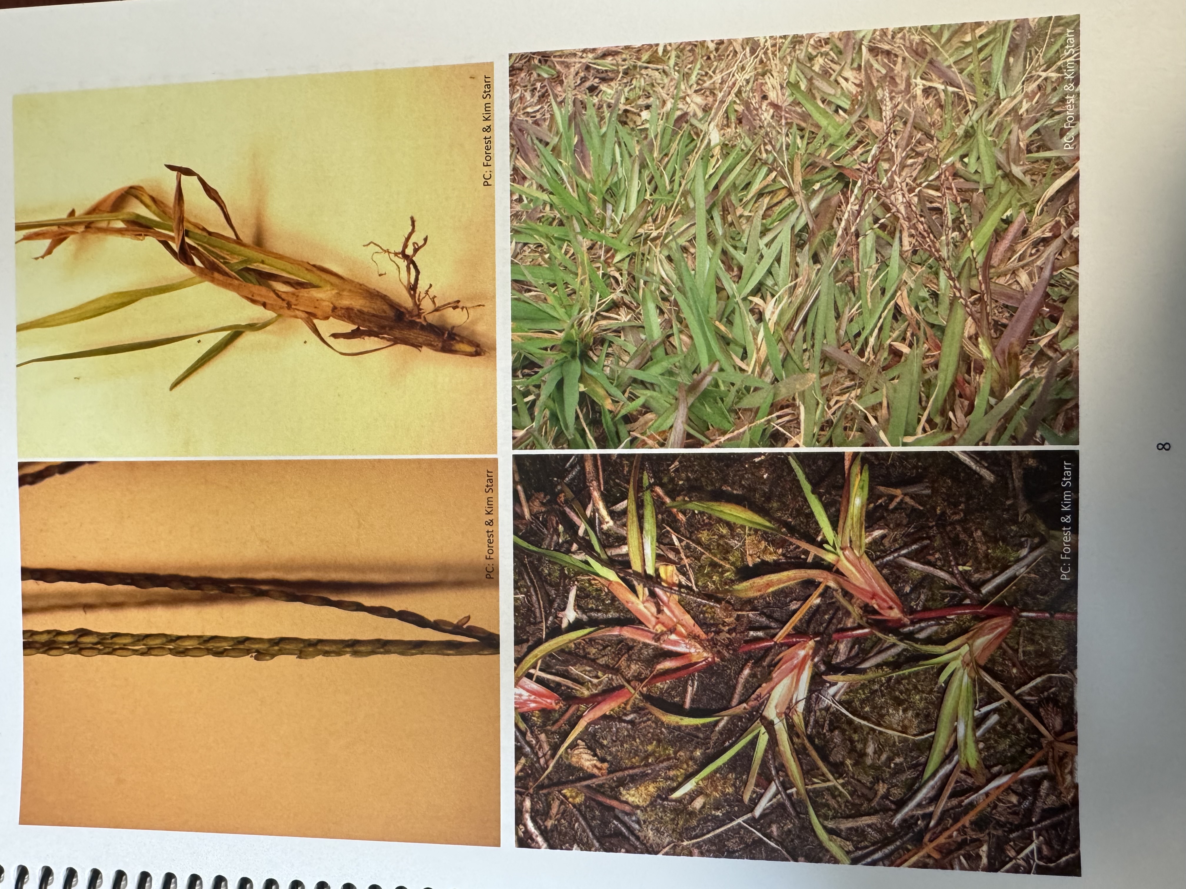 <img src="blob:null/ff64564c-3351-49c9-b21c-479f1bef79e6"><p></p>