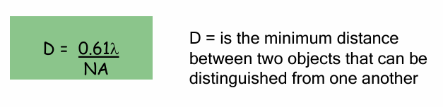 <ul><li><p>Wavelength of source of illumination limits our ability to see small objects</p><ul><li><p>Small wavelength = smaller D = better resolution </p></li></ul></li><li><p>Resolution: The ability to see an object/amt of detail we can observe with clarity </p></li><li><p>Microscopy resolution (D): The smallest distance between 2 objects where they still appear distinct&nbsp;</p><ul><li><p>Small D = better resolution&nbsp;</p></li></ul></li><li><p>Better to minimize refraction of illuminating light </p></li></ul><p></p>