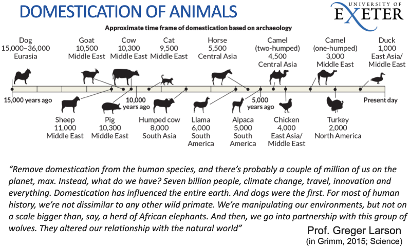 <p><span style="line-height: 18.4px;"><span>ungulates first then poultry</span></span></p><ul><li><p>Anthropogenic selection and evolution, during the neolithic</p></li></ul><ul><li><p class="MsoListParagraphCxSpMiddle"><span style="line-height: normal; font-size: 7pt;"><span> </span></span>Primarily food, but also working animals and pets</p></li></ul><p class="MsoListParagraphCxSpLast"><span style="font-family: "Times New Roman"; line-height: normal; font-size: 7pt;"><span>&nbsp; </span></span>Also, materials e.g. wool</p>