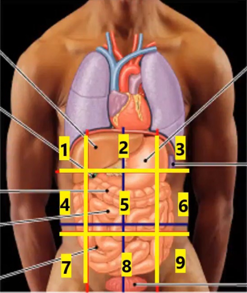 <p>State each of the nine regions</p>