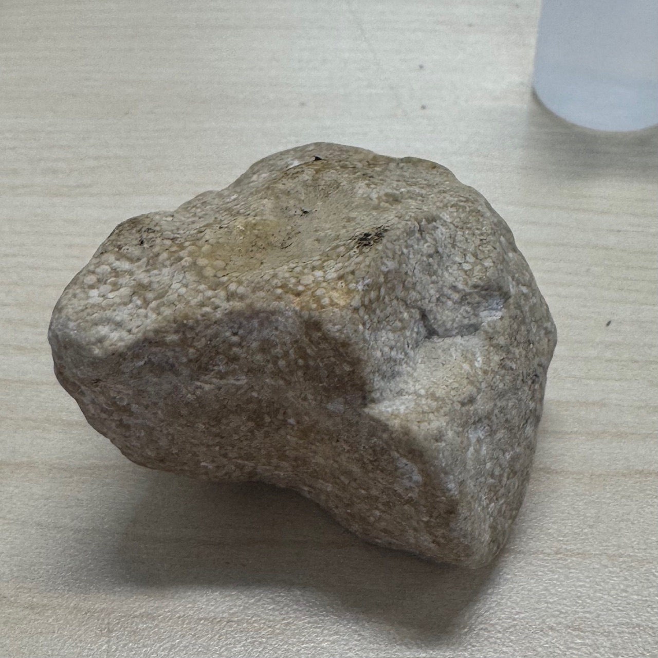 <p>Oolitic limestone</p>