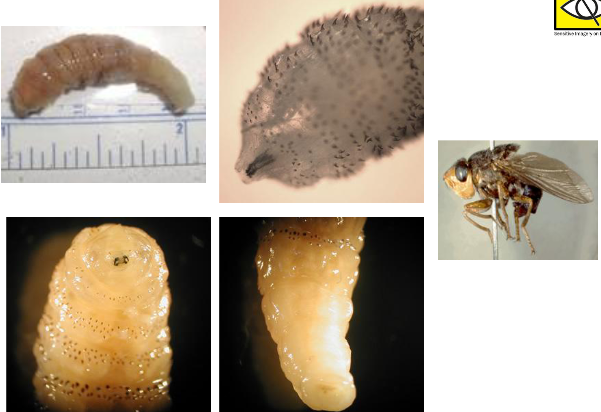 <p>What is this?</p>